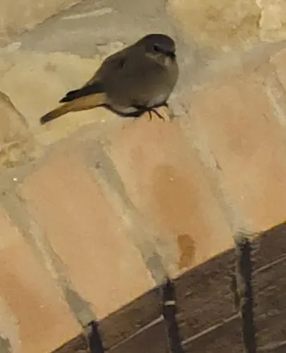 דירה Casa Nole סנטה לוצ'ה