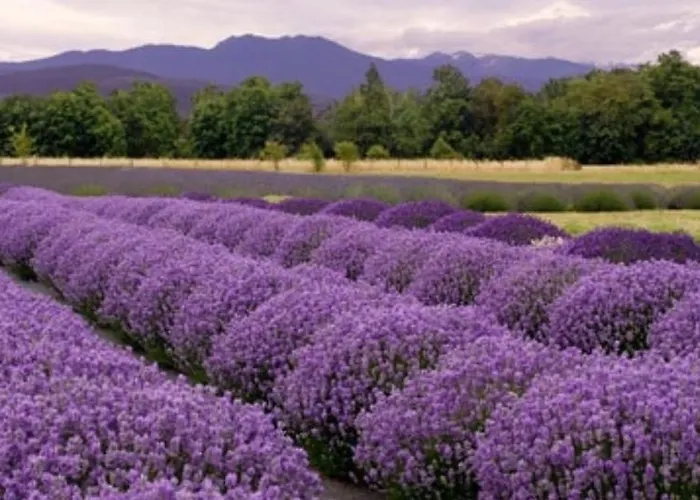 Casa Nole סנטה לוצ'ה