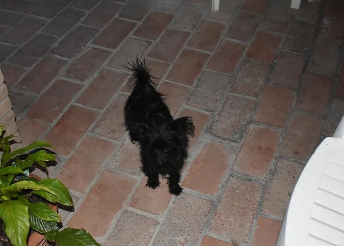 Casa Nole דירה *