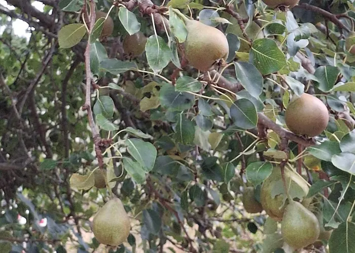 Casa Nole דירה *